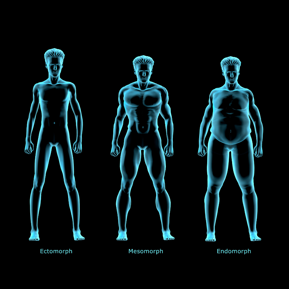 The Vital Connection: Understanding Body Types to Combat Executive Burnout